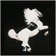 1.jpg (110x110, 4Kb)