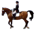 4933240_Ezda_verhom__plohoy_sport.gif (126x98, 25Kb)