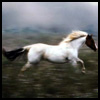 .jpg (100x100, 16Kb)