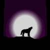 djkr.gif (100x100, 2Kb)