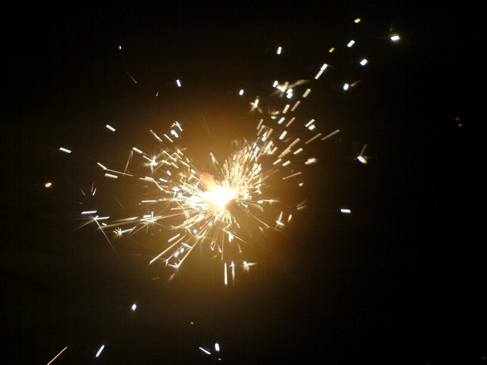 DSC00500.JPG (700x525, 55Kb)