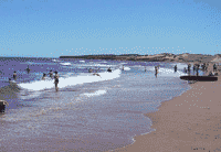post-2-1129544467.gif (200x138, 54Kb)