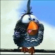 5502-avatar.gif (108x108, 8Kb)