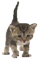 bh.gif (80x128, 5Kb)