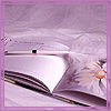 2803867.jpg (100x100, 19Kb)