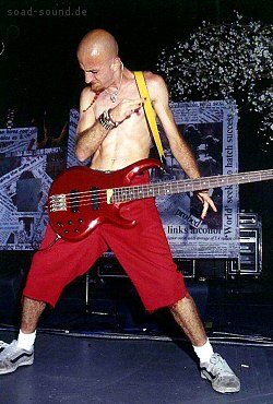 pics_live_shavo02.jpg (250x370, 36Kb)