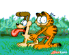 garfield.gif (101x80, 23Kb)
