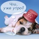 med_1119620702-43.jpg (128x128, 4Kb)