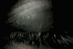 933136_954749.gif (150x102, 29Kb)