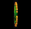 823598647431d8c5262a1b.gif (110x100, 24Kb)