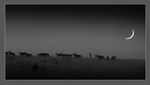    40.jpg (150x85, 1Kb)