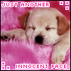 fn4u21.gif (100x100, 7Kb)