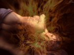 .gif (150x112, 80Kb)