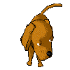 006.gif (100x100, 10Kb)