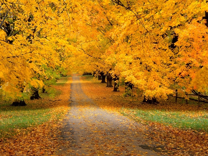 21782_1024_768.jpg (700x525, 412Kb)