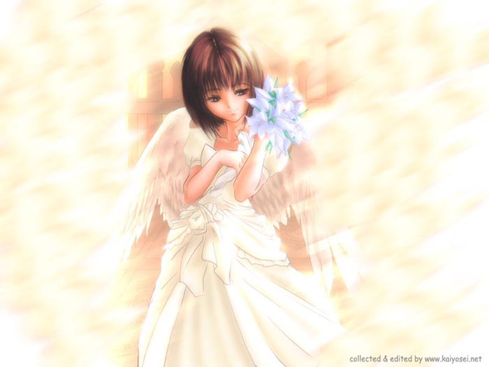 4346702_2555182.jpg (700x525, 40Kb)
