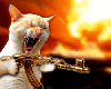 32558828343154a5523fd3.gif (100x80, 20Kb)