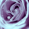 808791_vaylent4.gif (100x100, 14Kb)