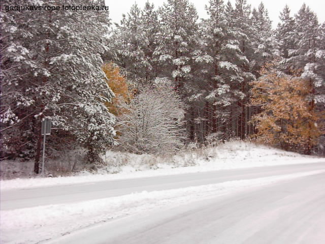 3262786_e59ecf54.jpg (640x480, 91Kb)