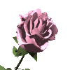 3.gif (100x100, 12Kb)