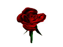 6.gif (211x158, 29Kb)