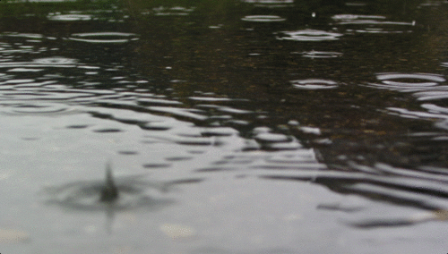 4341855_41859_1.gif (500x284, 718Kb)