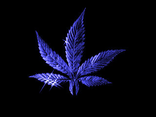 21.gif (320x240, 7Kb)