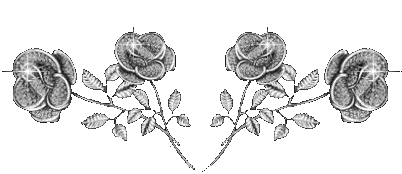 i5490451_40073_2[1].gif (402x174, 11Kb)