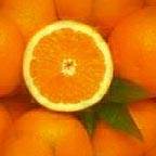 orange.jpg (144x144, 3Kb)