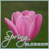 blossom.gif (100x100, 8Kb)