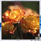 ad64d3923627e34897008930732fa9b5.gif (82x82, 6Kb)