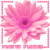 flower.gif (100x100, 8Kb)