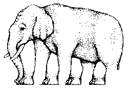 elephant.gif (250x176, 2Kb)