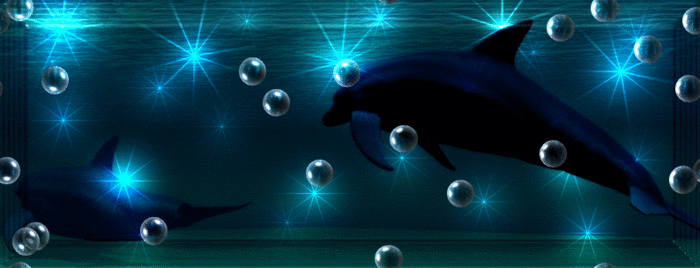 3778736_3410803_zhgftz.gif (700x268, 1067Kb)