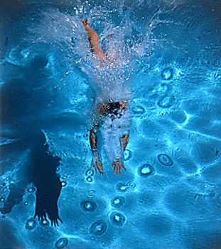 890734_flippant_venus_plunge.gif (311x350, 179Kb)