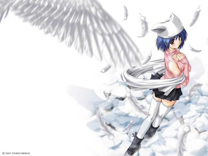 24.jpg (700x525, 43Kb)