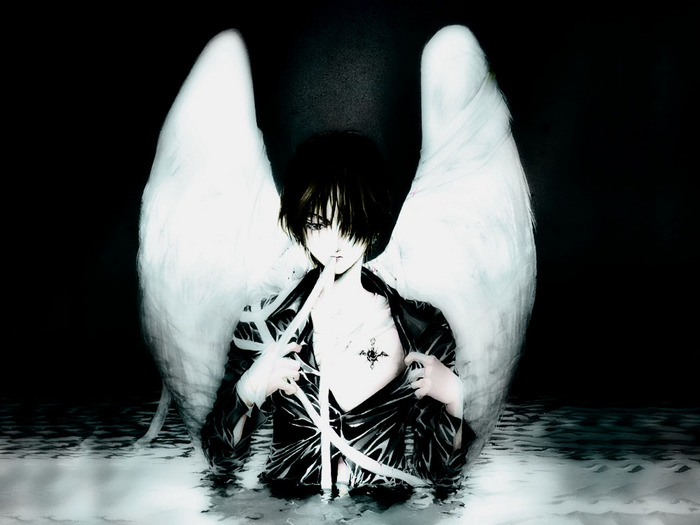 45.jpg (700x525, 81Kb)