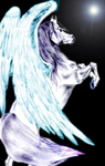 9.JPG (95x150, 33Kb)