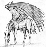 12.JPG (149x150, 32Kb)