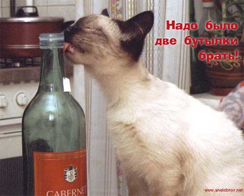 2butylki.jpg (500x402, 28Kb)