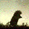 3366937.gif (100x100, 20Kb)