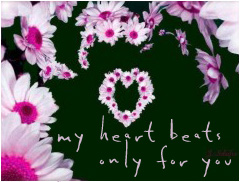 onlyforyou.jpg (240x182, 46Kb)
