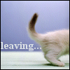 caticon11.gif (100x100, 7Kb)