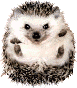3071975_519911_2854107.gif (77x88, 4Kb)