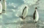 3811987_2218257.gif (152x98, 420Kb)