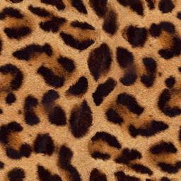 5300438_4723250_4677799_4115246_CC063028.jpg (256x256, 16Kb)