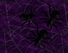 18-violetwebback.jpg (238x184, 7Kb)