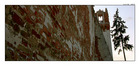 1.jpg (140x66, 6Kb)