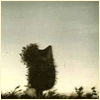 avatar1028_8.gif (100x100, 45Kb)