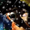 flas.gif (100x99, 16Kb)